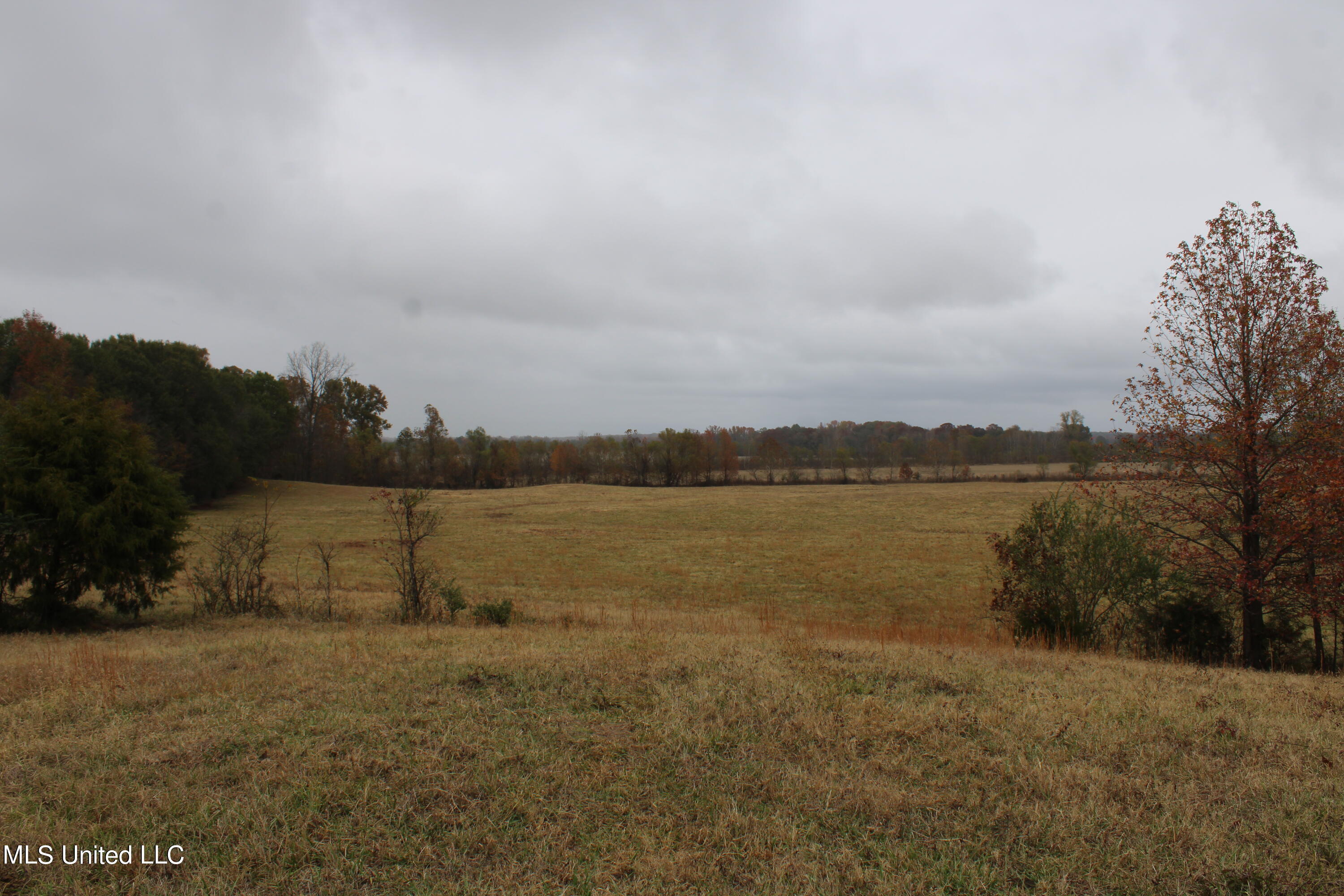 2131 Evansville Road Sarah, MS 38665 - Photo 29 of 40 IMG_2690