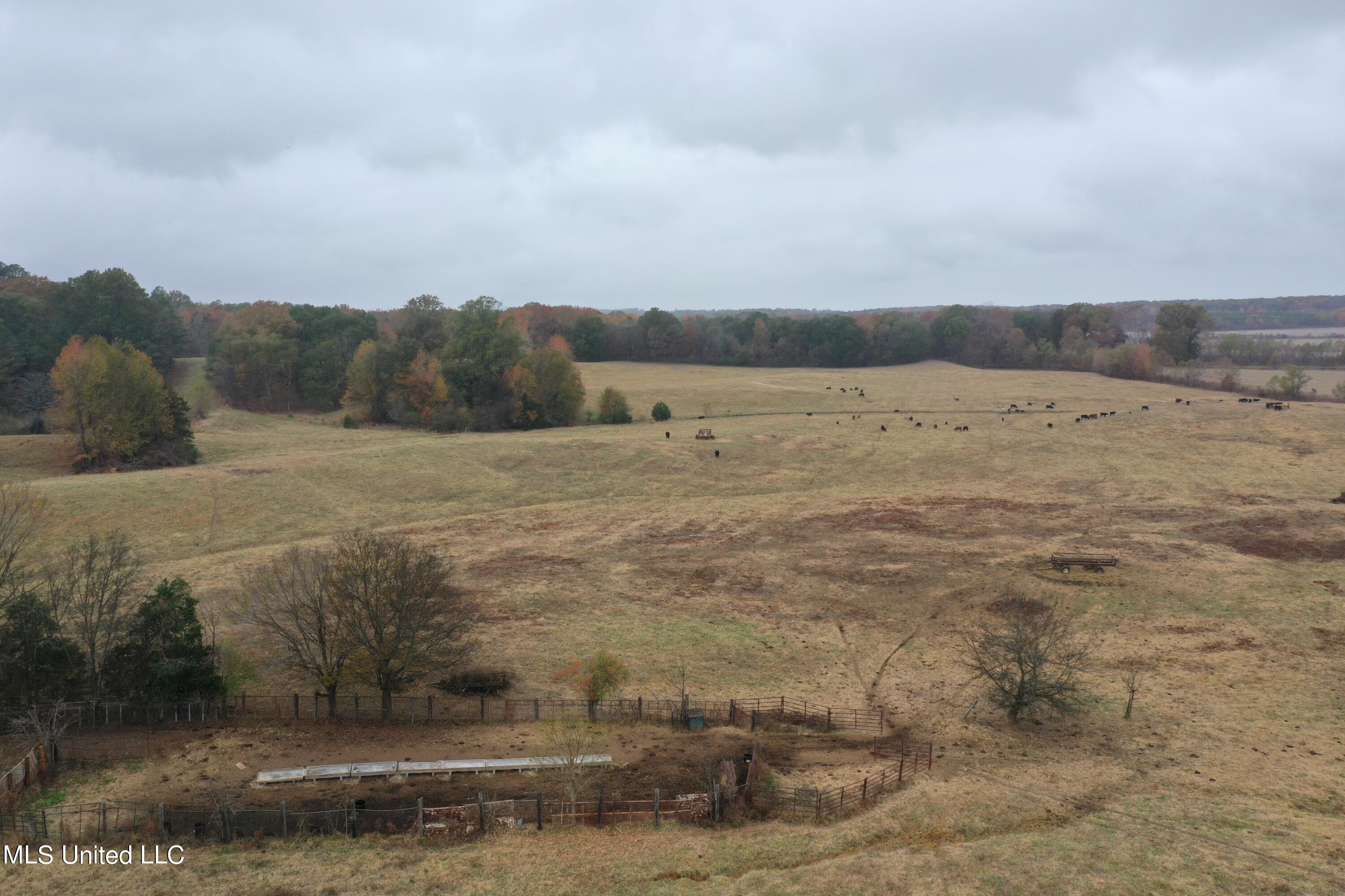 2131 Evansville Road Sarah, MS 38665 - Photo 3 of 40 DJI_0338