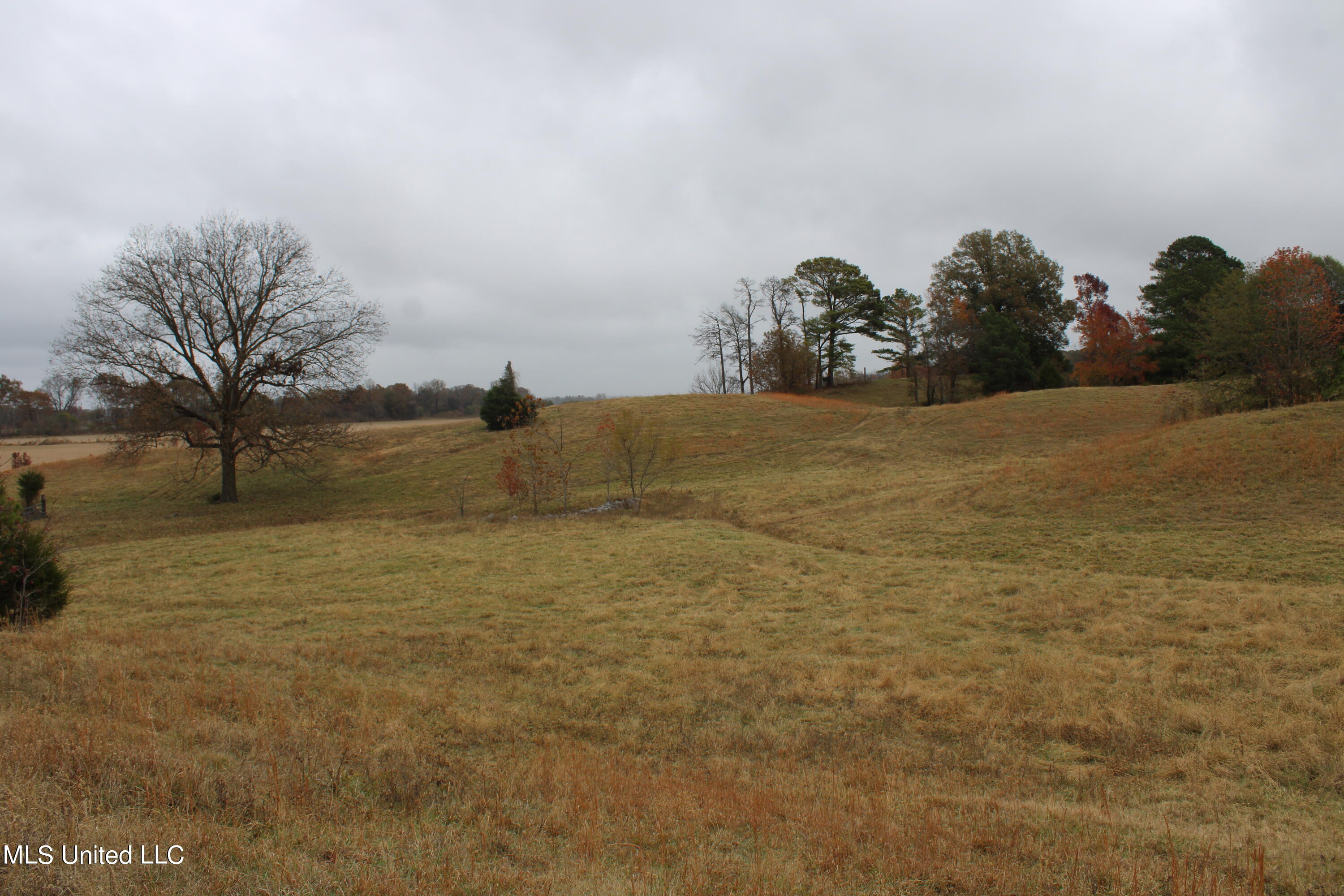 2131 Evansville Road Sarah, MS 38665 - Photo 36 of 40 IMG_2697