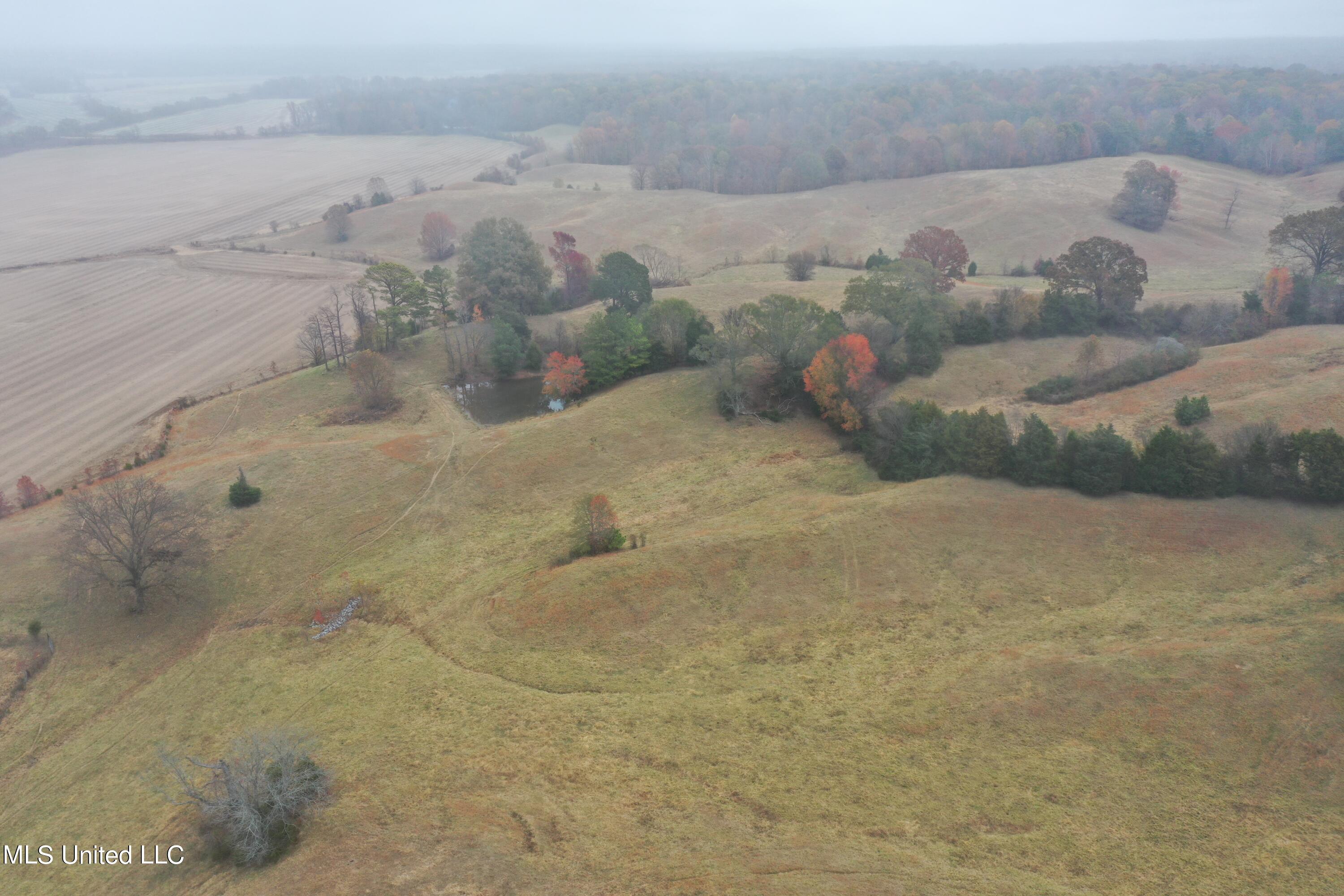 2131 Evansville Road Sarah, MS 38665 - Photo 5 of 40 DJI_0341
