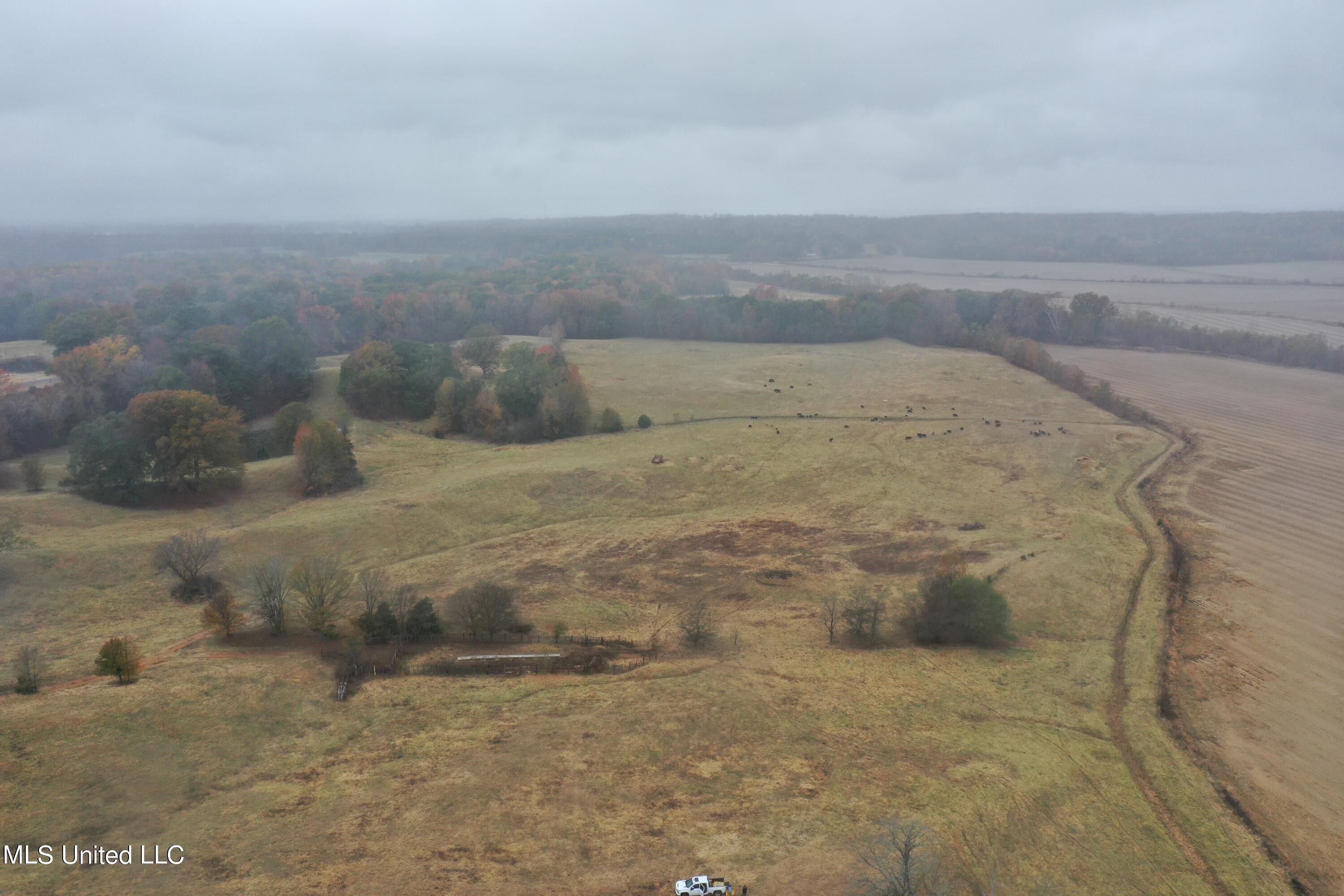 2131 Evansville Road Sarah, MS 38665 - Photo 7 of 40 DJI_0343