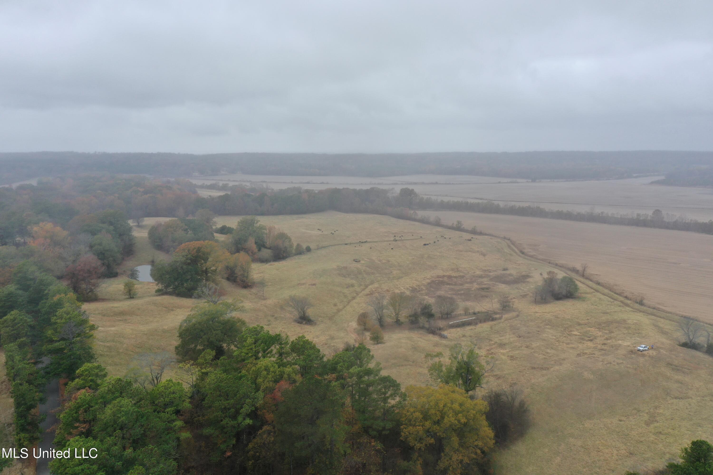 2131 Evansville Road Sarah, MS 38665 - Photo 8 of 40 DJI_0344