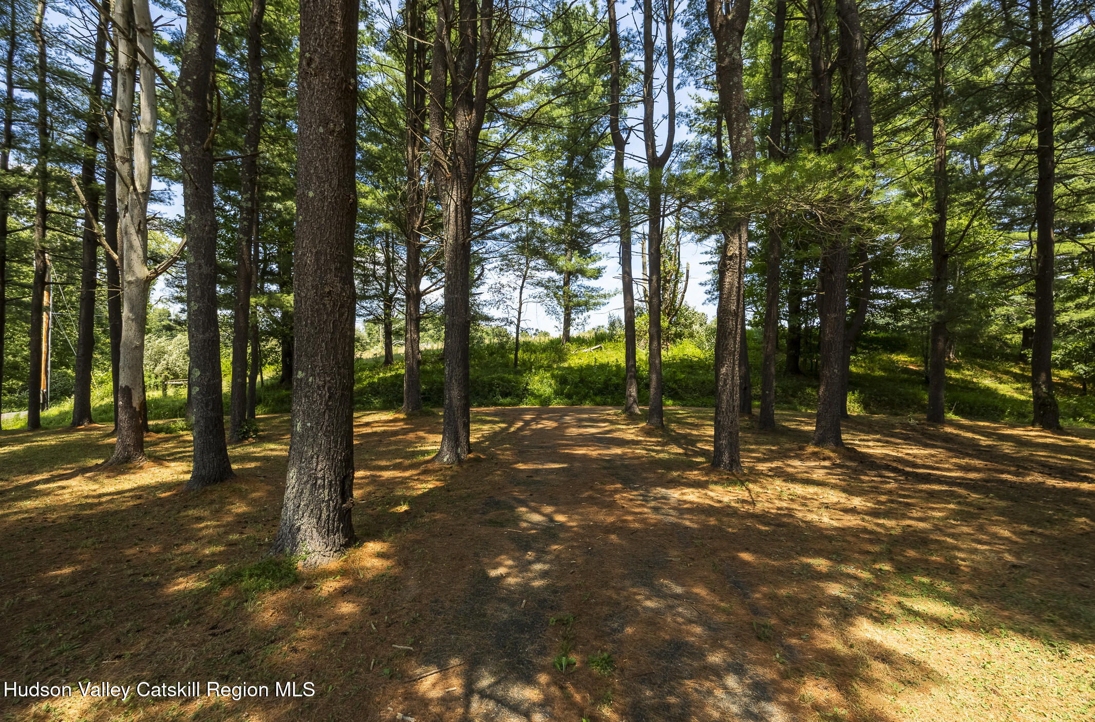174 Co Rte 11 Pine Plains, NY 12567 - Photo 35 of 37 a view of a tree in the middle of a yard