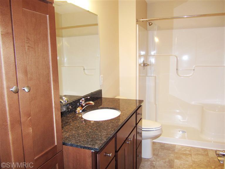 11161 Barnsley Road, Unit 3 Lowell, MI 49331 - Photo 6 of 9 Additional Photo
