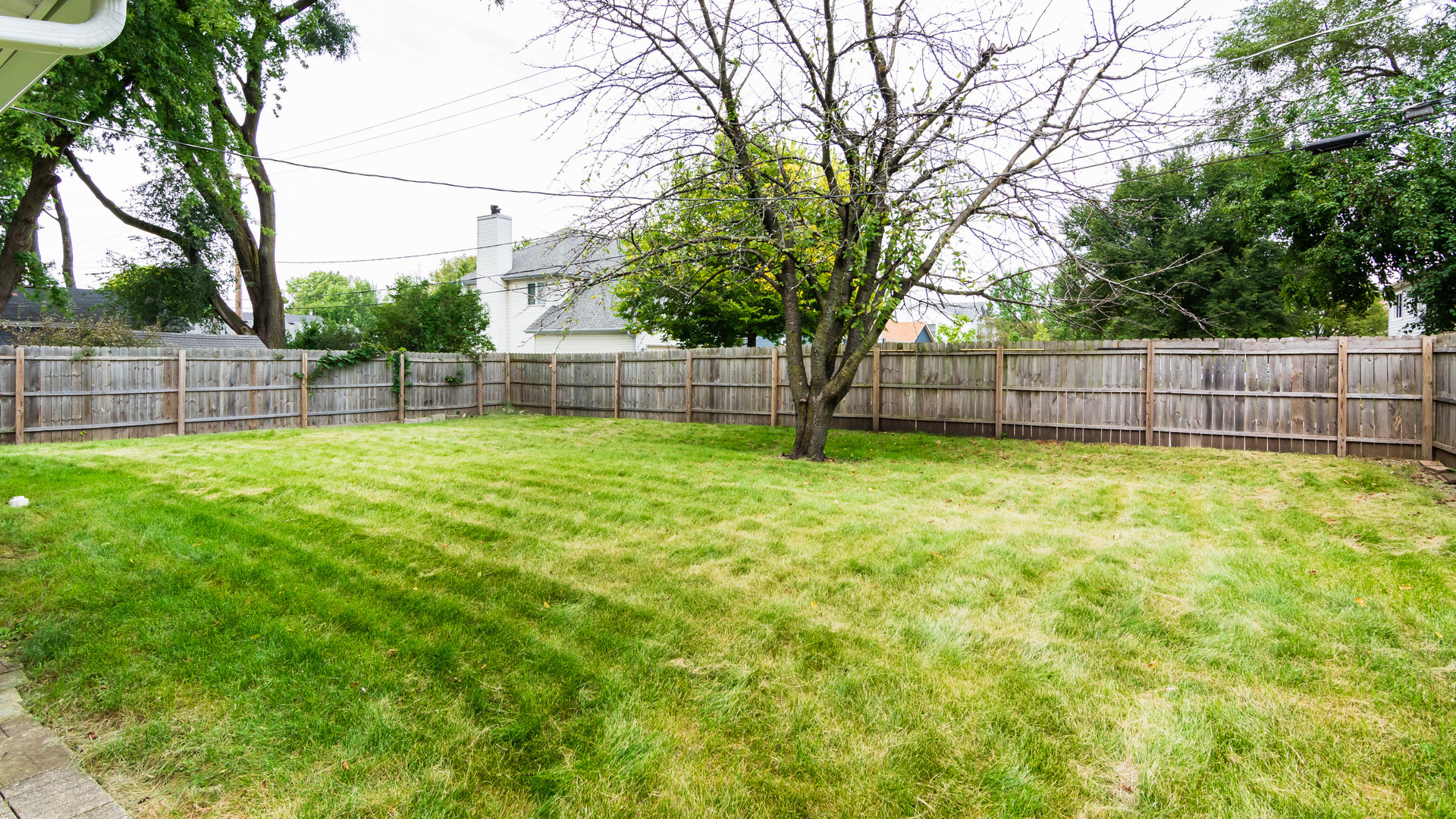 187 Queenswood Road Bolingbrook, IL 60440 - Photo 8 of 36 a view of a backyard with a small cabin