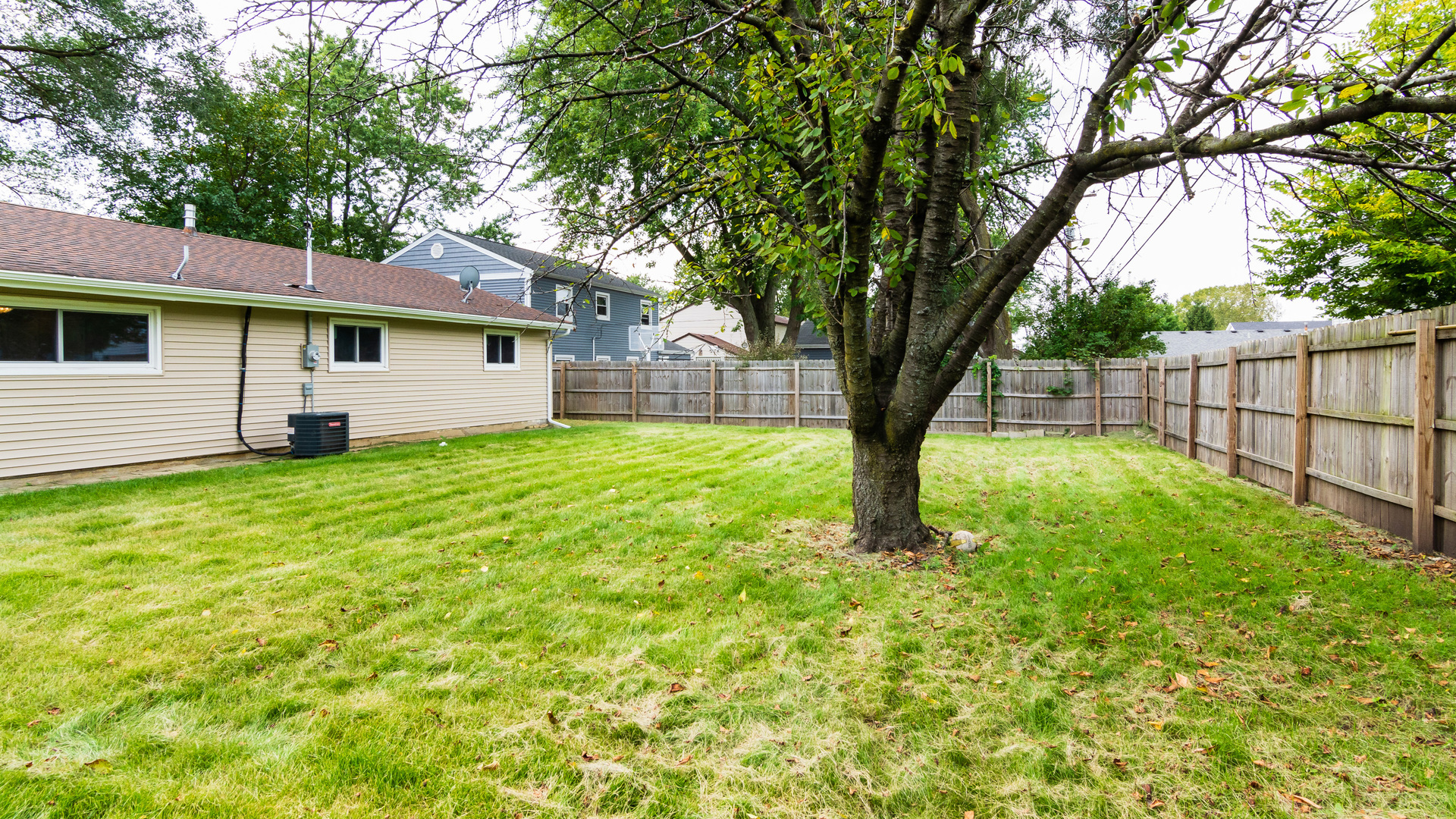 187 Queenswood Road Bolingbrook, IL 60440 - Photo 9 of 36 a view of a house with backyard and a tree