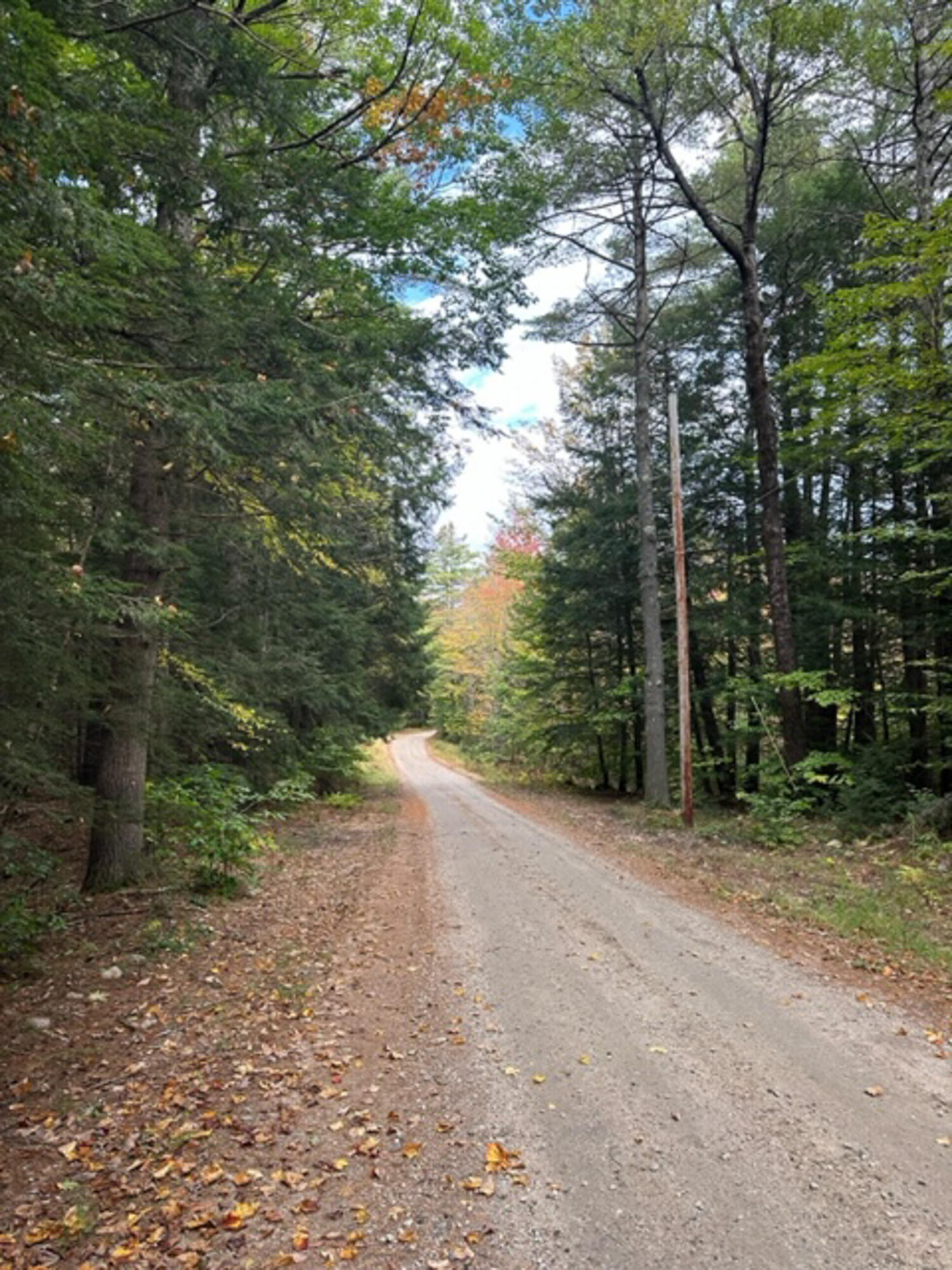 Lot 96 Thurston Road Brownfield, ME 04010 - Photo 3 of 6 image1 (2)