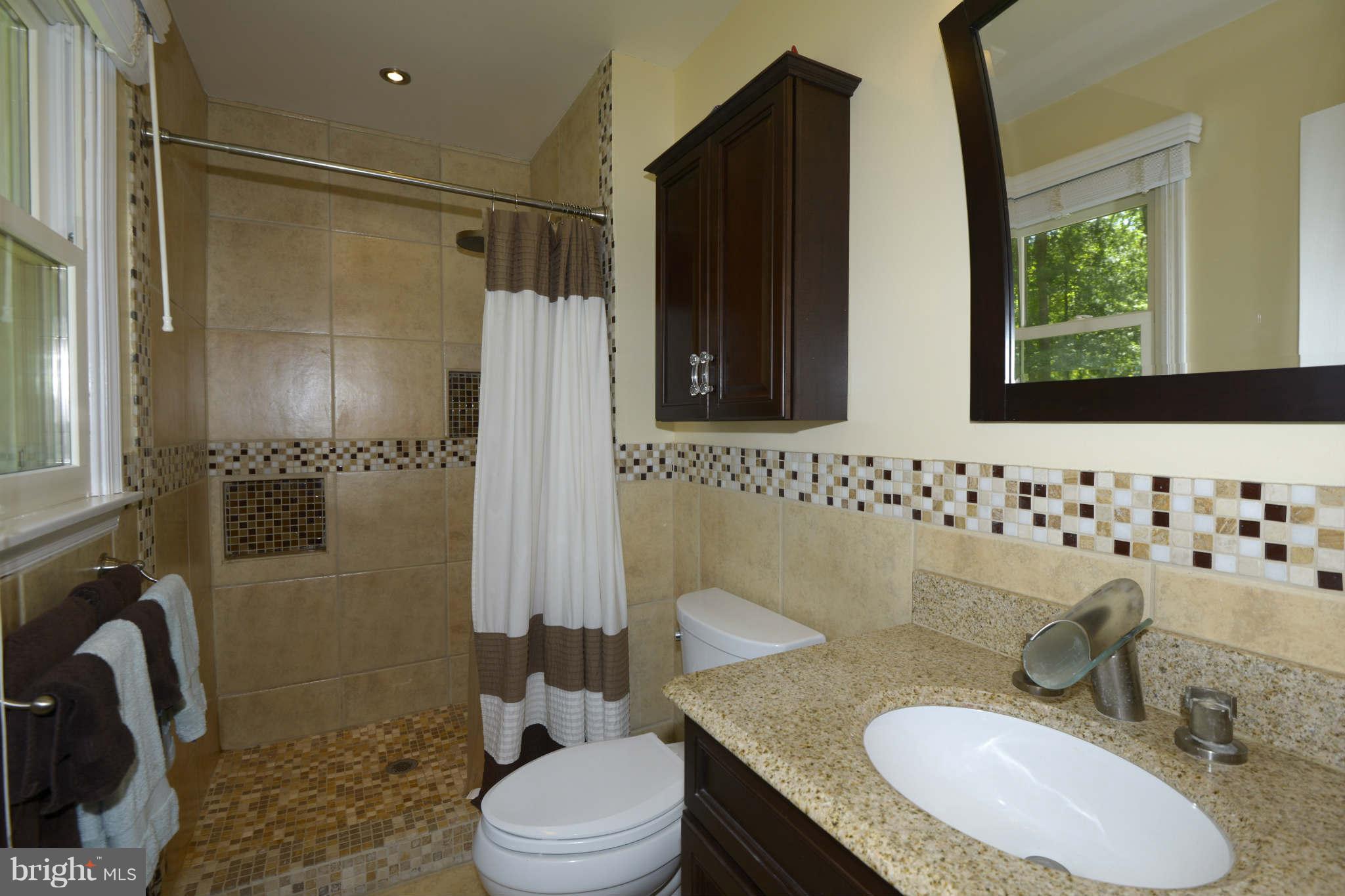 3955 Salem Bottom Road Westminster, MD 21157 - Photo 14 of 27 Bath (Master)