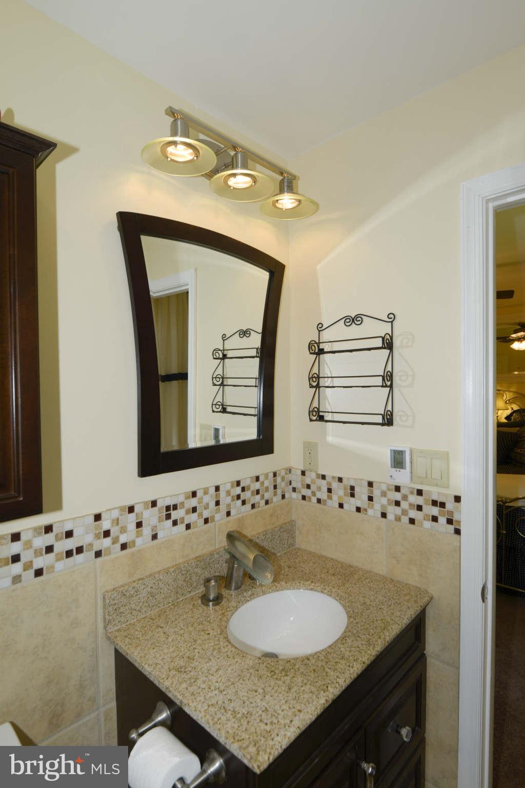 3955 Salem Bottom Road Westminster, MD 21157 - Photo 15 of 27 Bath (Master)