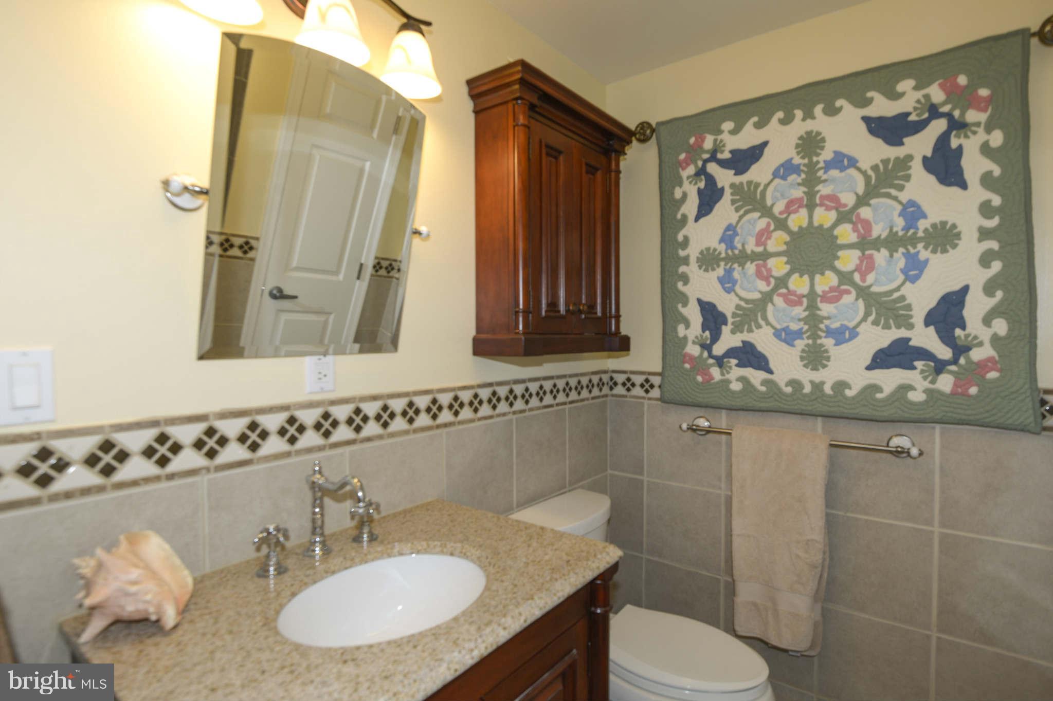 3955 Salem Bottom Road Westminster, MD 21157 - Photo 19 of 27 Lower Level Full Bath