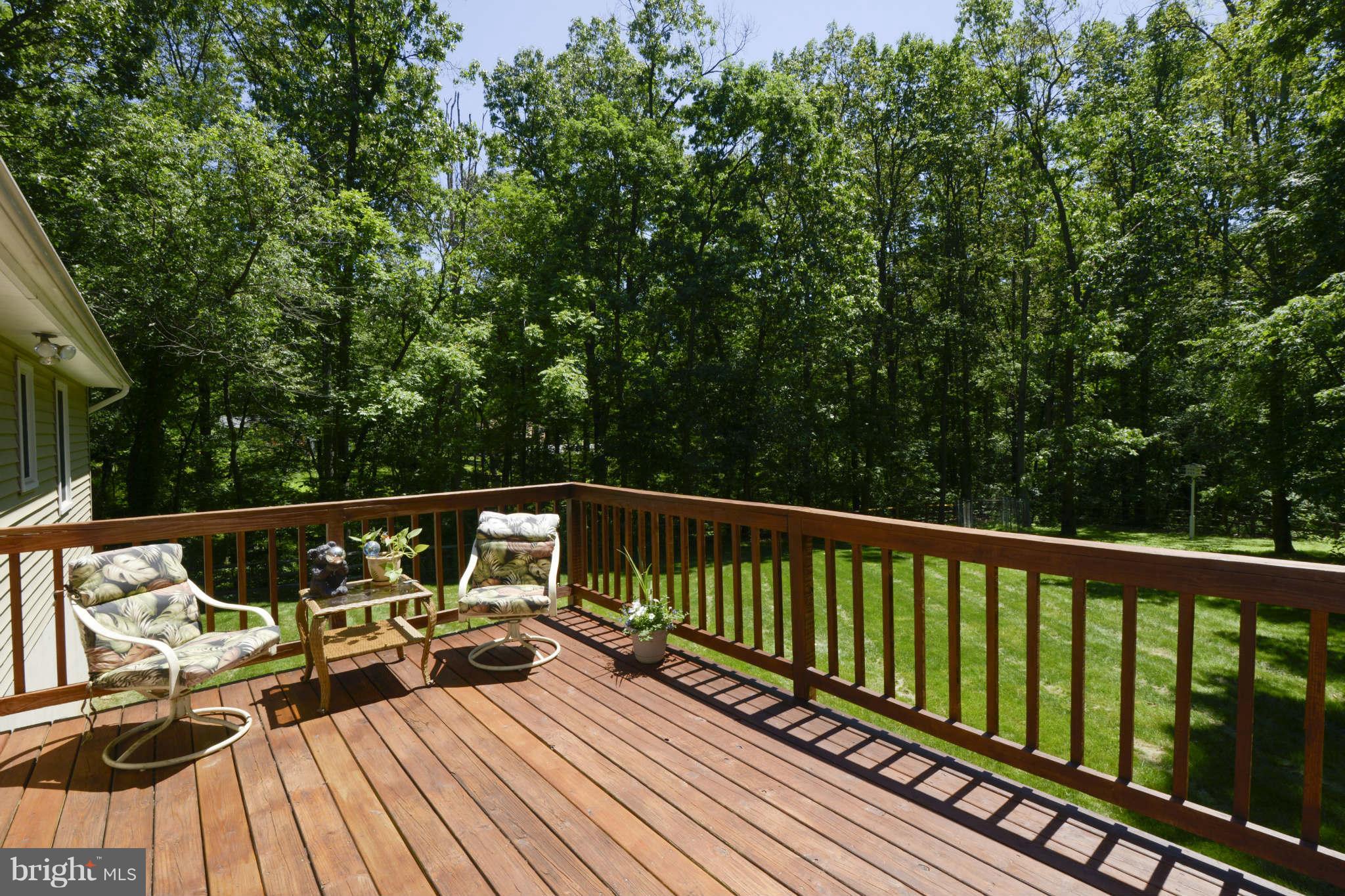 3955 Salem Bottom Road Westminster, MD 21157 - Photo 23 of 27 Rear Deck