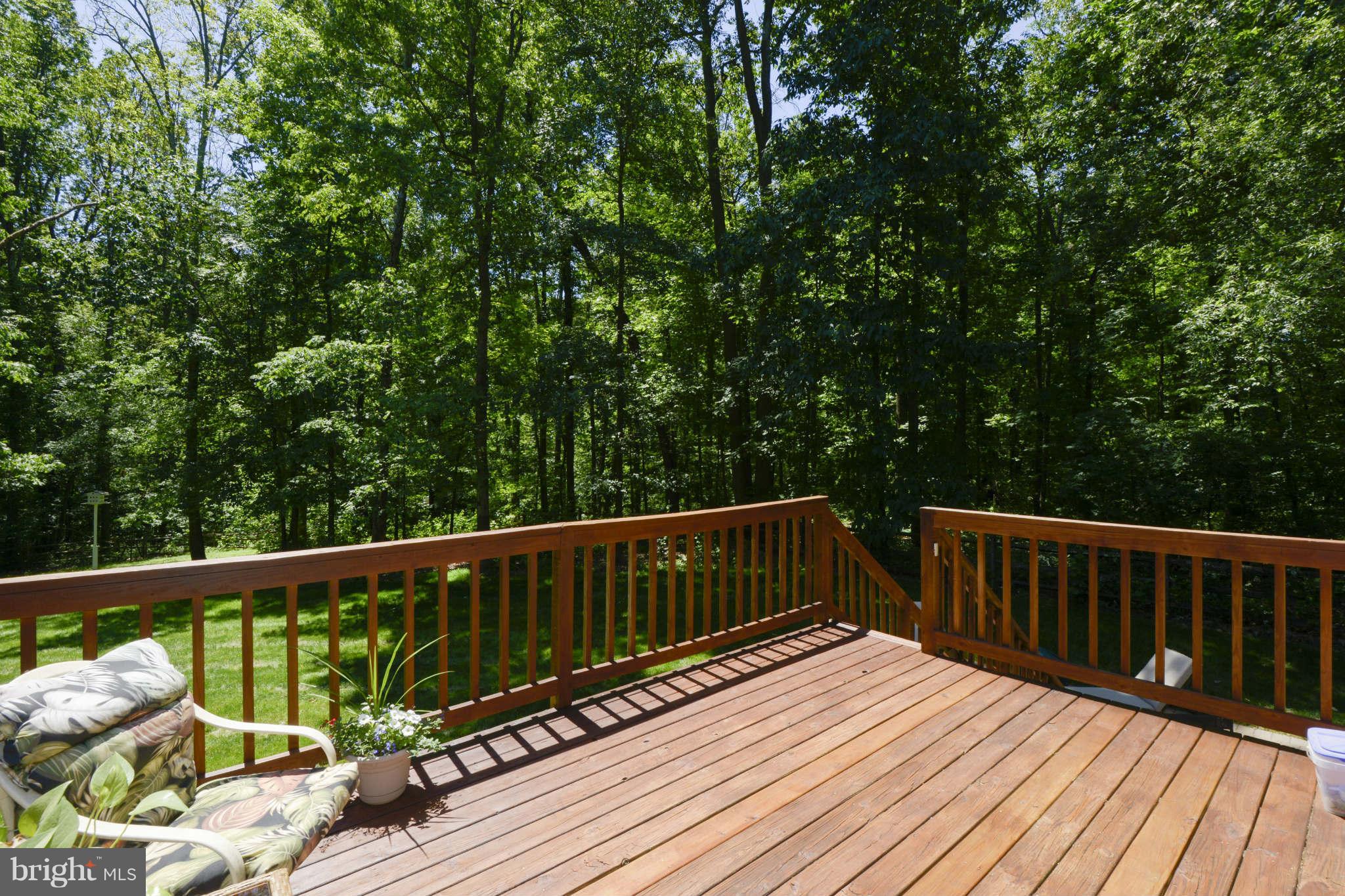 3955 Salem Bottom Road Westminster, MD 21157 - Photo 24 of 27 Rear Deck
