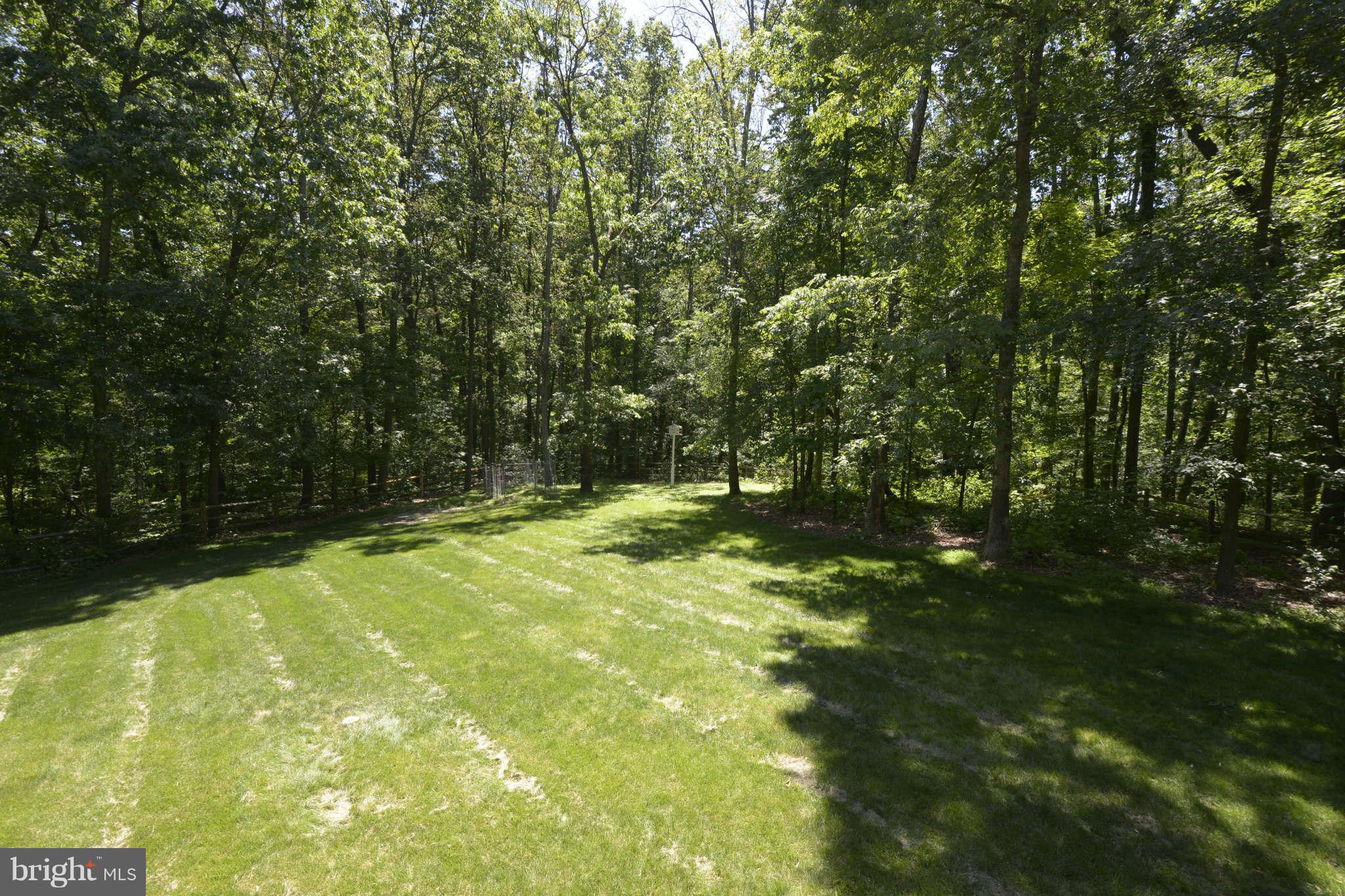 3955 Salem Bottom Road Westminster, MD 21157 - Photo 26 of 27 Expansive Backyard