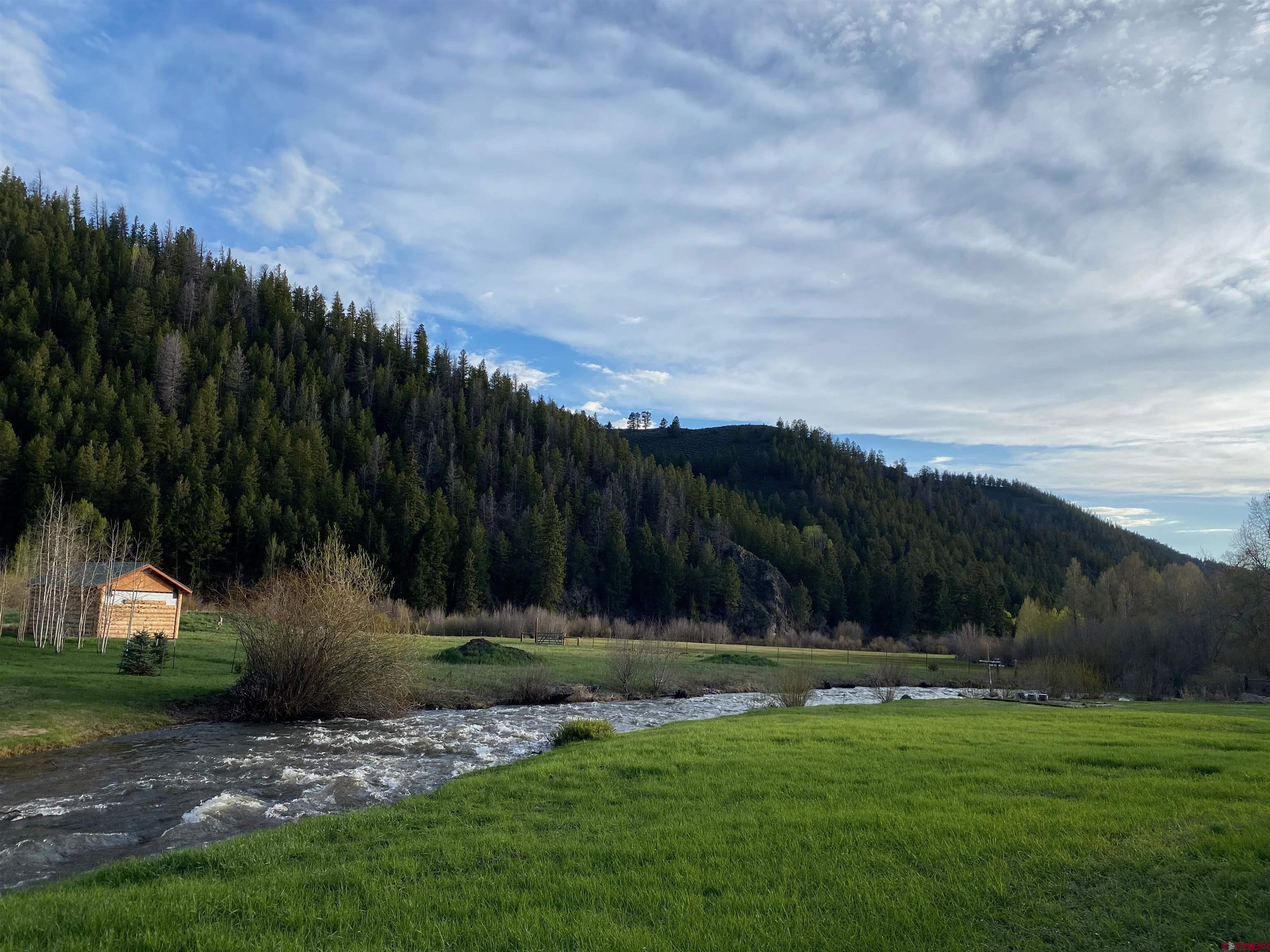 101 Mountain Lion Ln