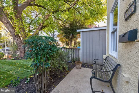 a bunch of flowers and fruits on a road