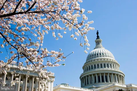 front view of a house with a garden
