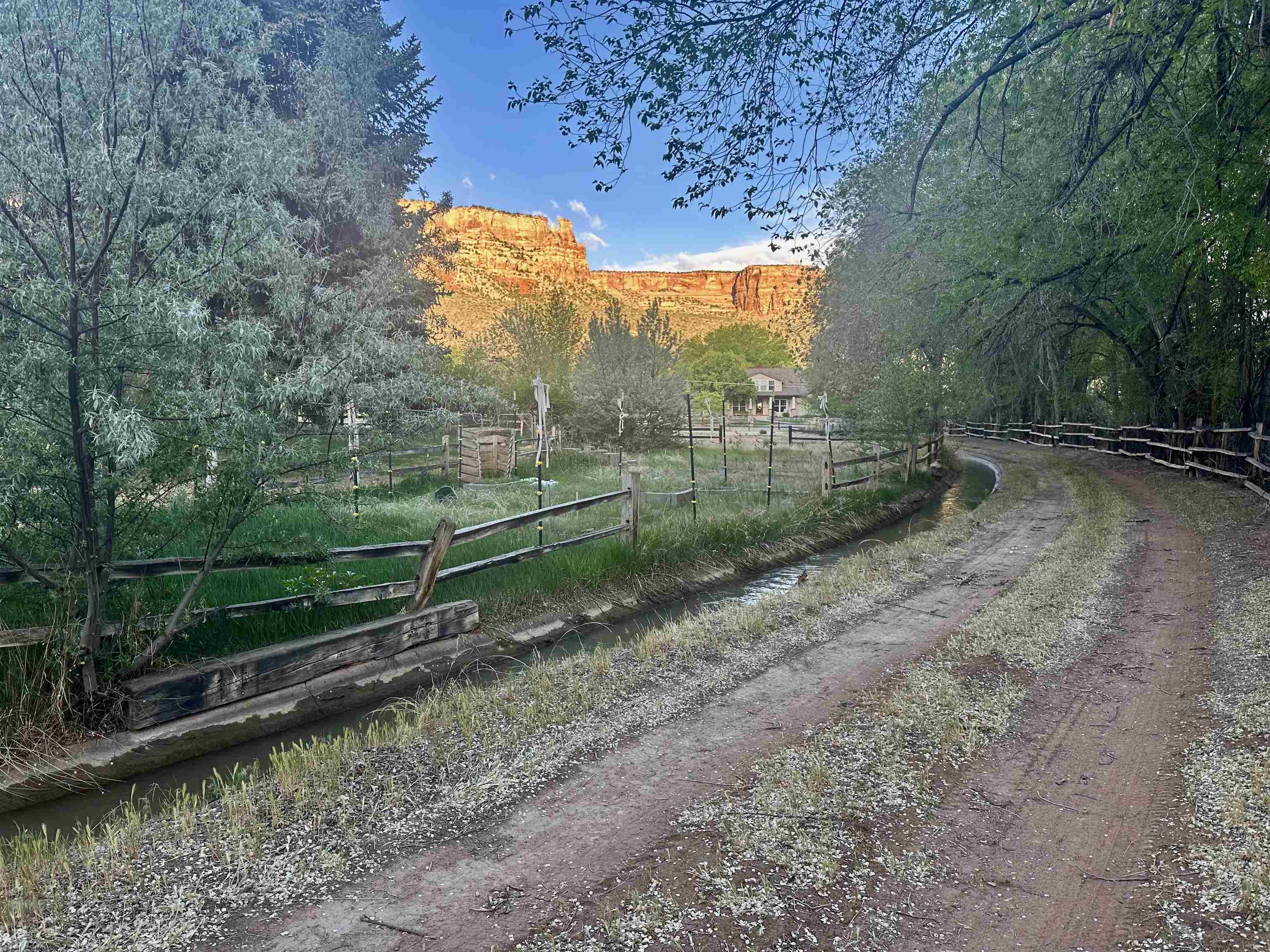556 20 Road Grand Junction, CO 81507 - Photo 11 of 18 Gallery Image 11