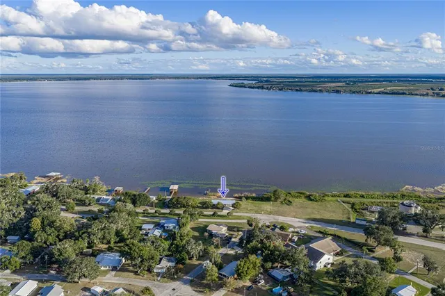 a view of a bunch of trees and cars
