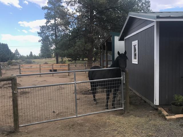 21385 Back Alley Road Bend, OR 97702 - Photo 21 of 23 IMG_2655