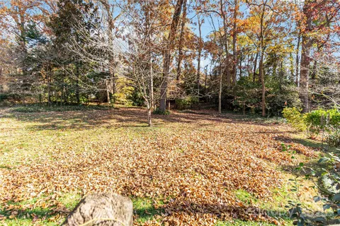 a view of a yard with yellow lighting