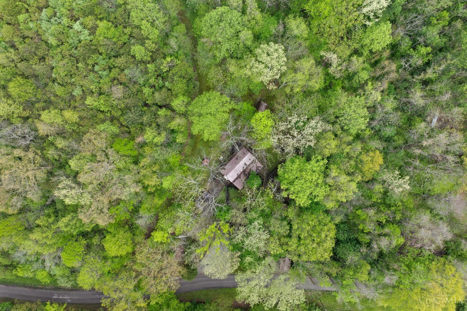 6750 Ferneau Road Bainbridge, OH 45612 - Photo 39 of 45 Gallery Image 39