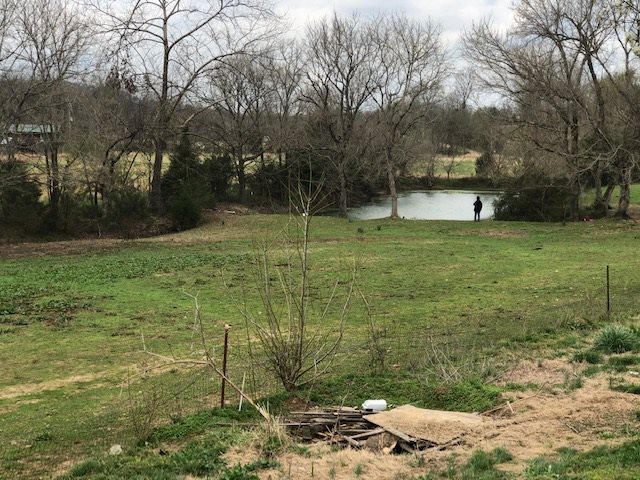 1065 Burnt Church Road Savannah, TN 38372 - Photo 1 of 21 Gallery Image 1
