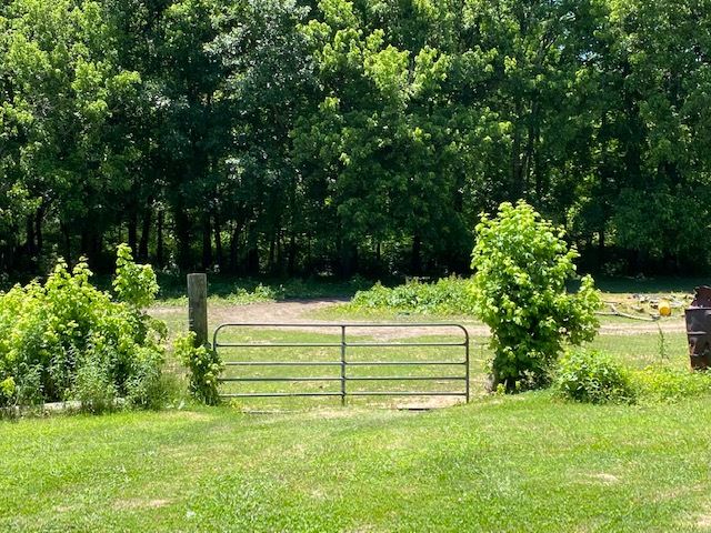 1065 Burnt Church Road Savannah, TN 38372 - Photo 12 of 21 Gallery Image 12