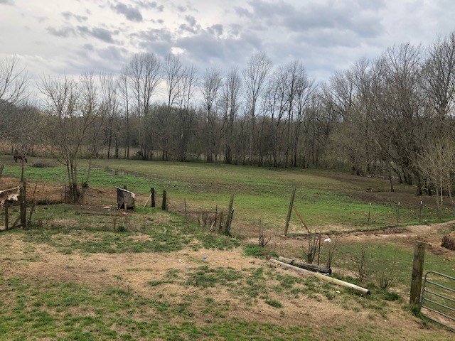 1065 Burnt Church Road Savannah, TN 38372 - Photo 4 of 21 Gallery Image 4