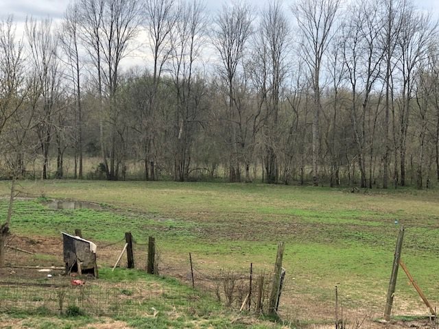 1065 Burnt Church Road Savannah, TN 38372 - Photo 5 of 21 Gallery Image 5