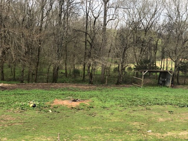 1065 Burnt Church Road Savannah, TN 38372 - Photo 6 of 21 Gallery Image 6