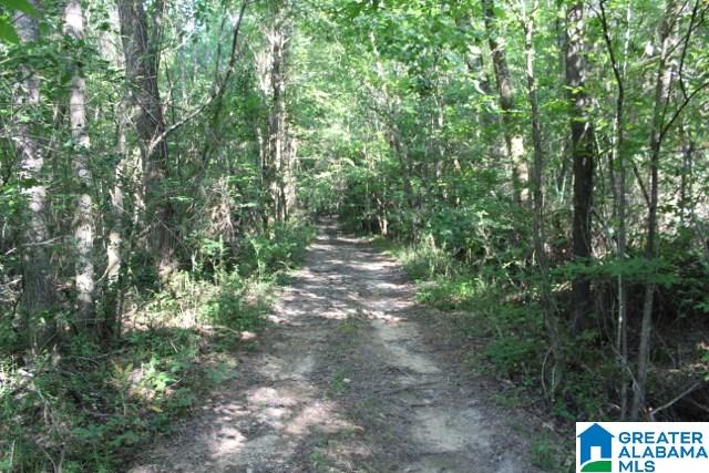 1 Benefield Gap Road Attalla, AL 35954 - Photo 1 of 50