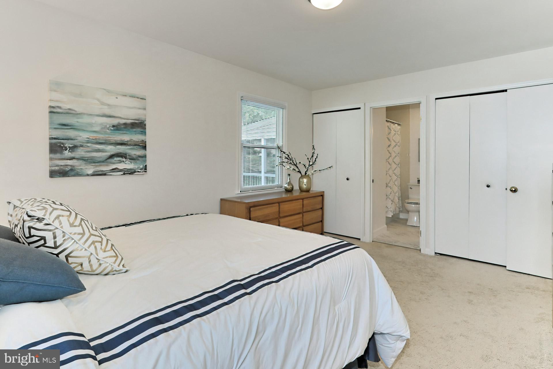 9110 Rockefeller Lane Springfield, VA 22153 - Photo 24 of 56 Primary bedroom with double closets