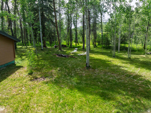5958 Bull Moose Road Kamas, UT 84036 - Photo 21 of 25 Expansive natural landscape featuring a manicured lawn, abundant mature trees, and a visible outbuilding with horizontal siding
