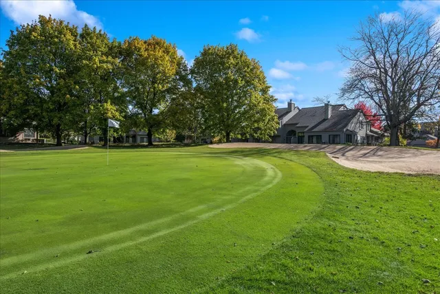 a view of a field of grass and trees