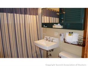 290 Tennis Club Road, Unit 1303 Keystone, CO 80435 - Photo 13 of 20 Gallery Image 13