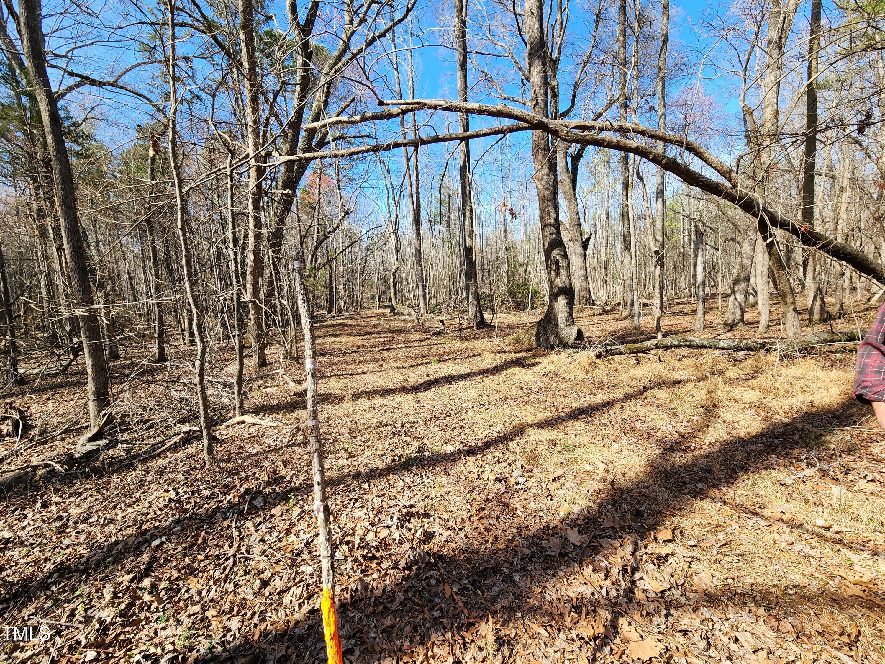 57 Rougemont Nc 27572 Rougemont, NC 27572 - Photo 14 of 22 Old roadbeds here and yonder
