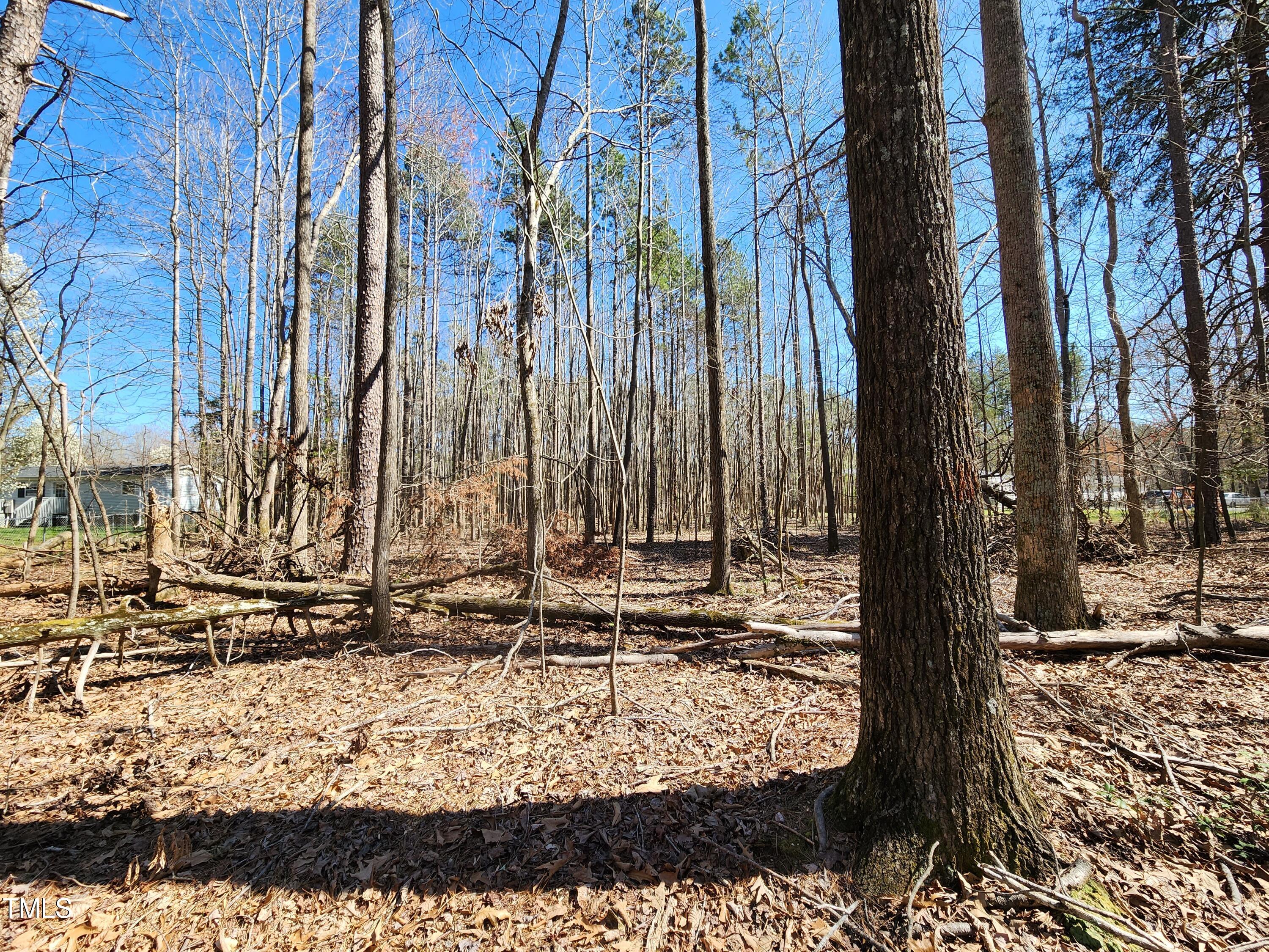 57 Rougemont Nc 27572 Rougemont, NC 27572 - Photo 15 of 22 Adjacent owner's open field beyond