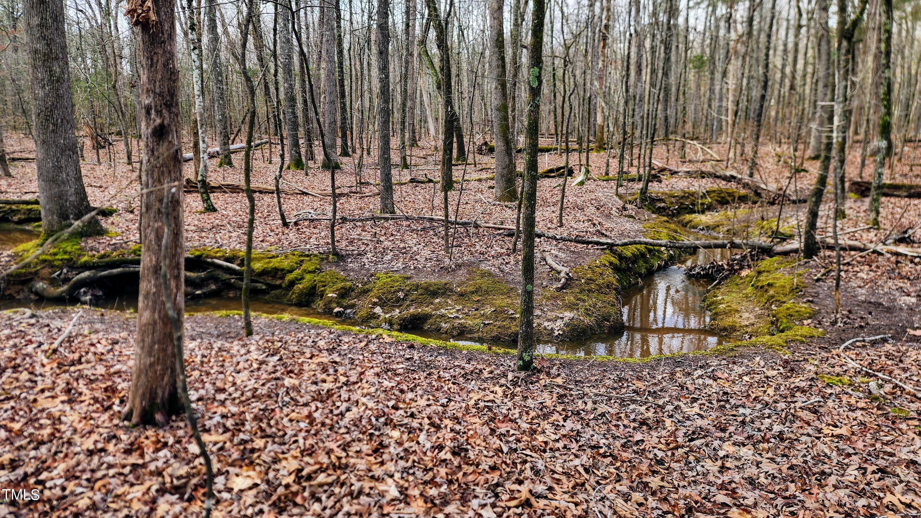 57 Rougemont Nc 27572 Rougemont, NC 27572 - Photo 2 of 22 Meandering streams throughout