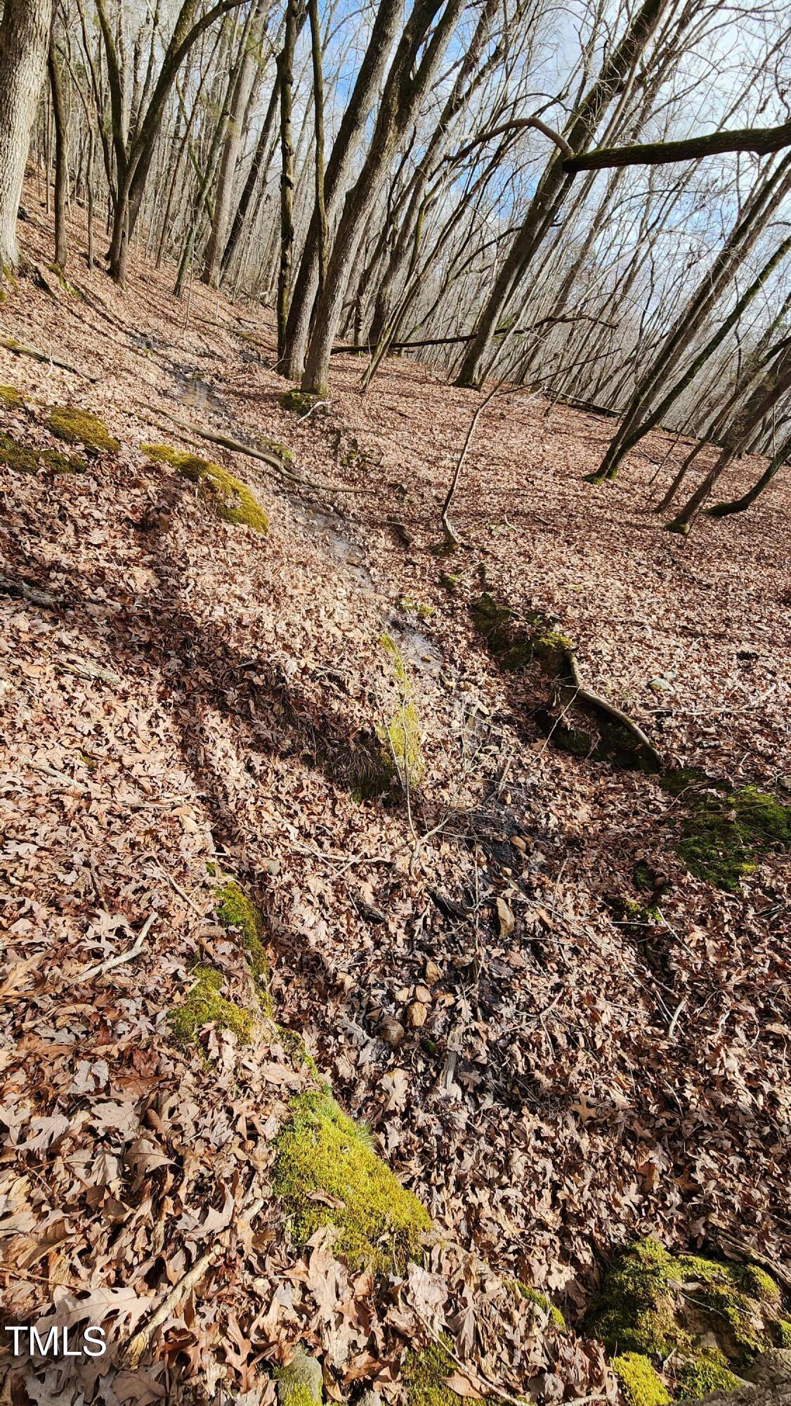 57 Rougemont Nc 27572 Rougemont, NC 27572 - Photo 5 of 22 Rising terrain