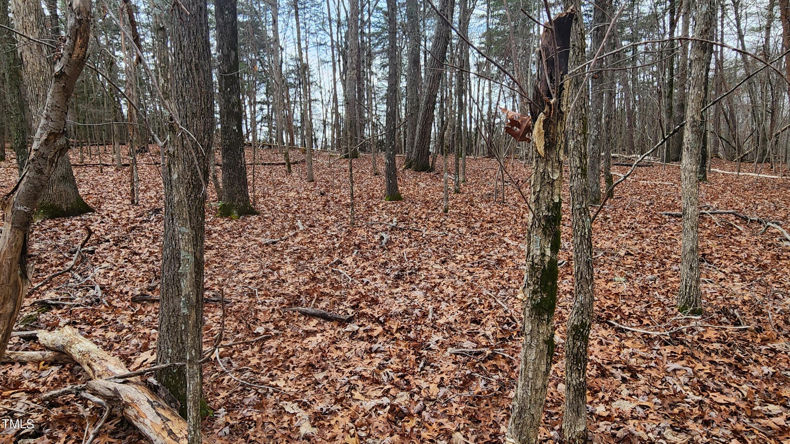 57 Rougemont Nc 27572 Rougemont, NC 27572 - Photo 10 of 22 Rolling terrain