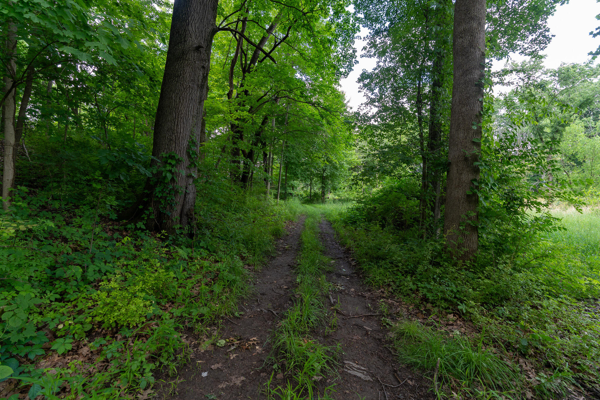 47.06 Weiser Road Niles, MI 49120 - Photo 6 of 19 DSC09016