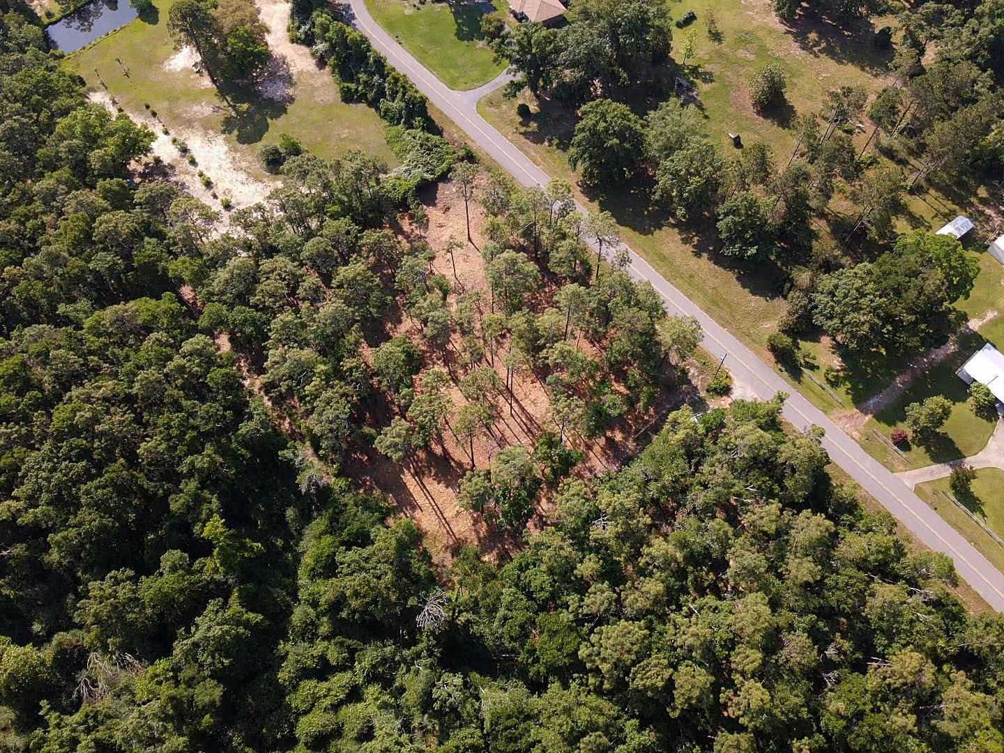 0 Antietam Road Lillian, AL 36549 - Photo 6 of 32