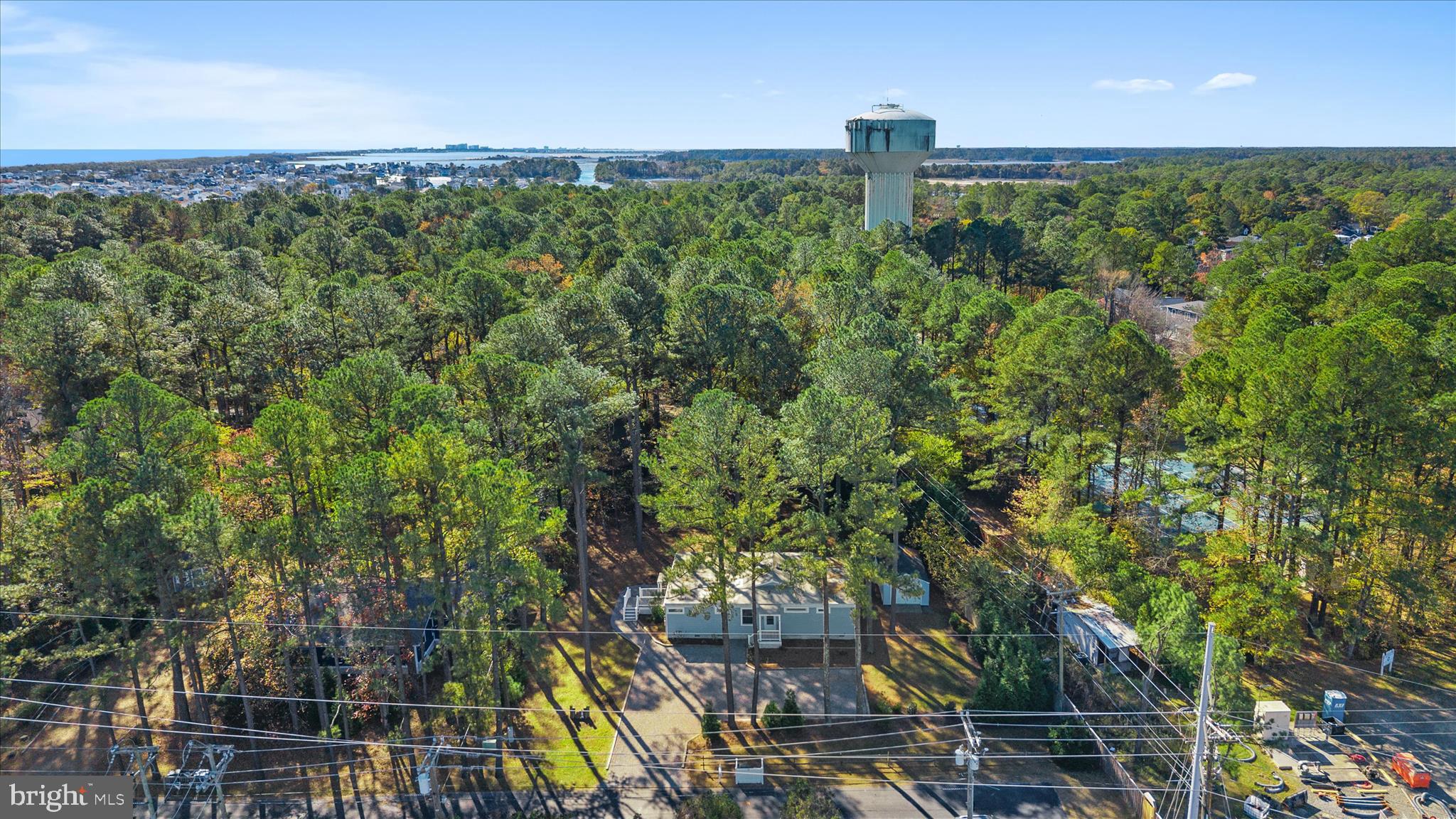2 Bridge Road Bethany Beach, DE 19930 - Photo 44 of 65 a close up of a green field