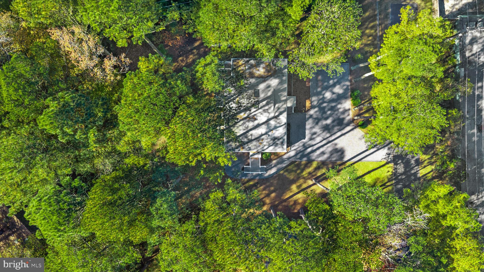 2 Bridge Road Bethany Beach, DE 19930 - Photo 46 of 65 a backyard of a building with lots of trees
