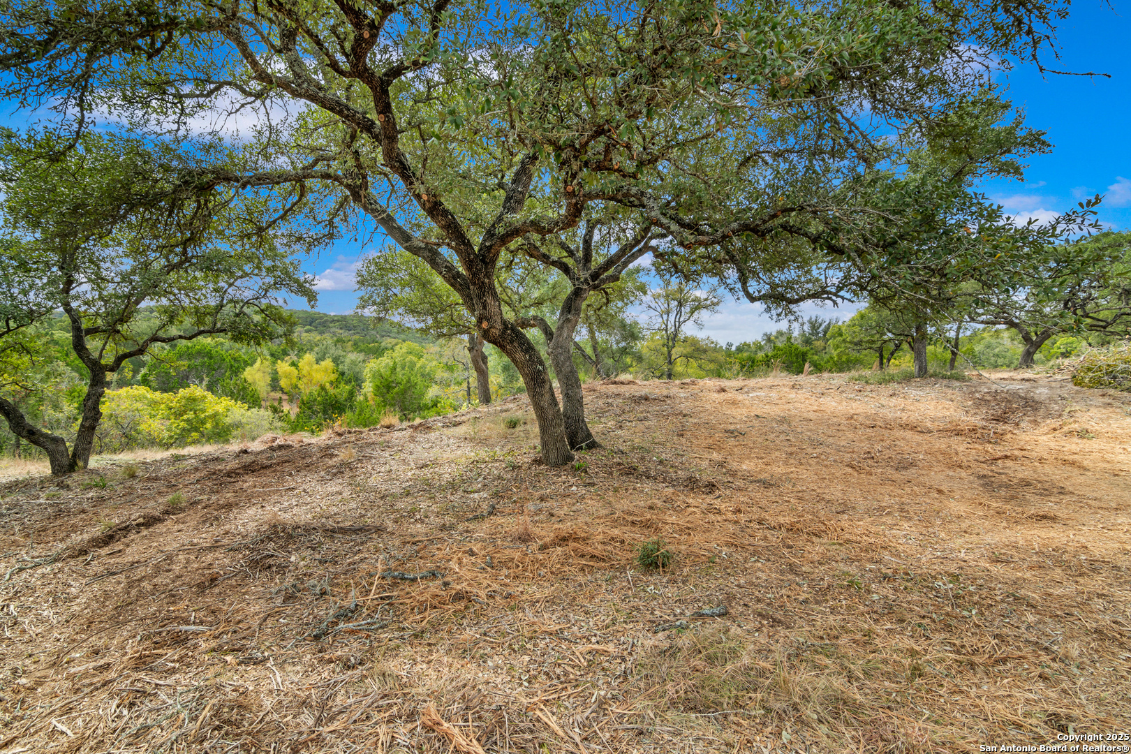 25722 Eden Point Boerne, TX 78006 - Photo 11 of 46 a view of dirt yard with a large tree
