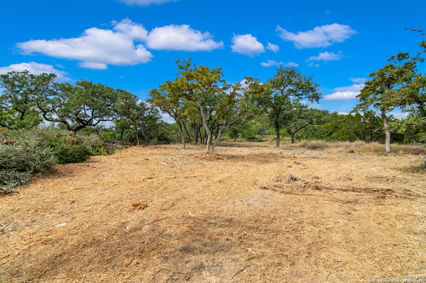25722 Eden Point Boerne, TX 78006 - Photo 13 of 46 a view of yard