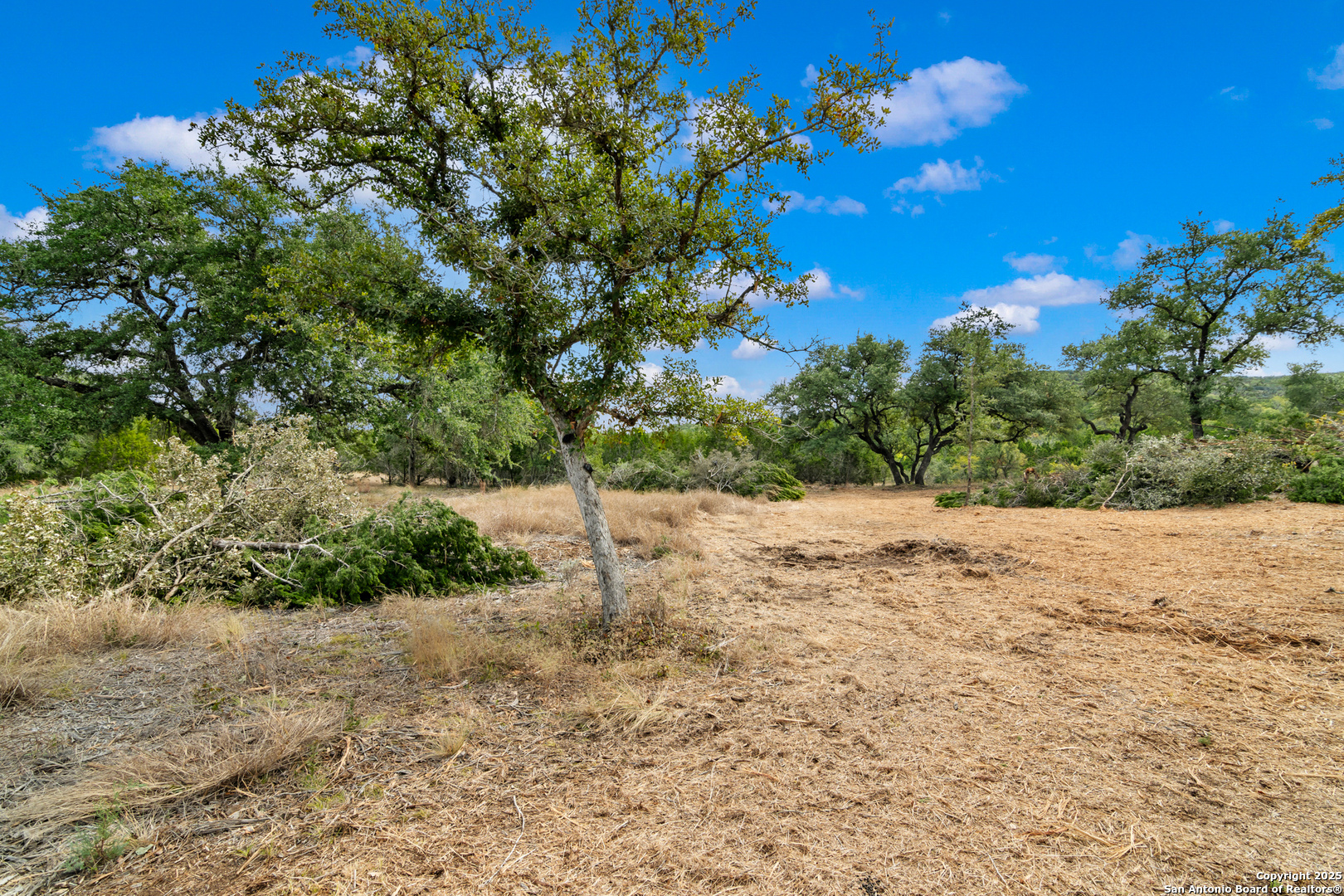 25722 Eden Point Boerne, TX 78006 - Photo 15 of 46 a view of a yard with trees