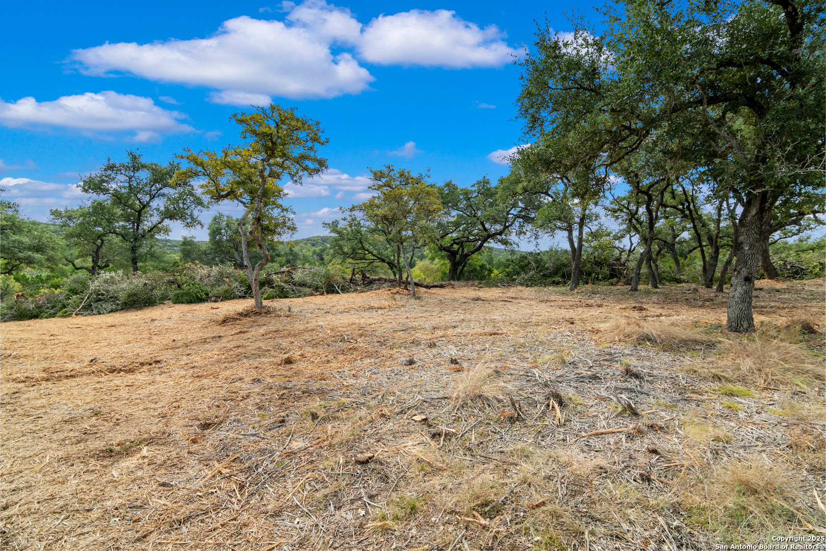 25722 Eden Point Boerne, TX 78006 - Photo 16 of 46 a view of backyard with green space
