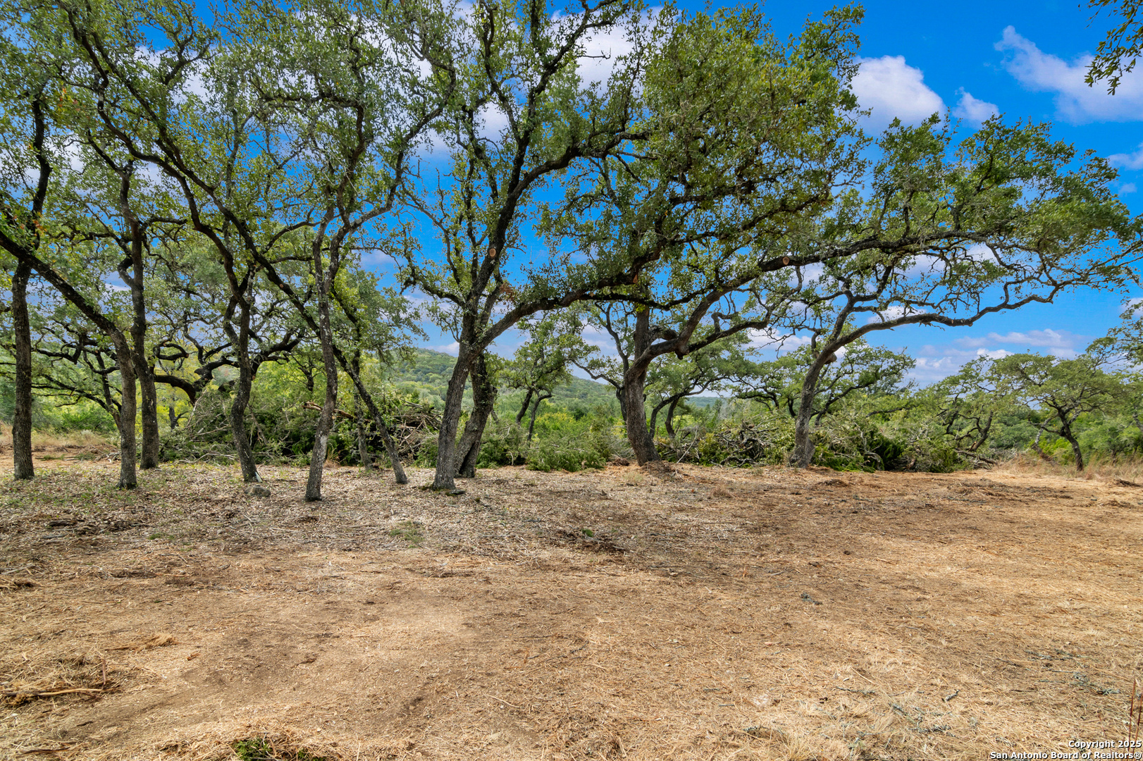 25722 Eden Point Boerne, TX 78006 - Photo 17 of 46 a view of some trees with wooden fence