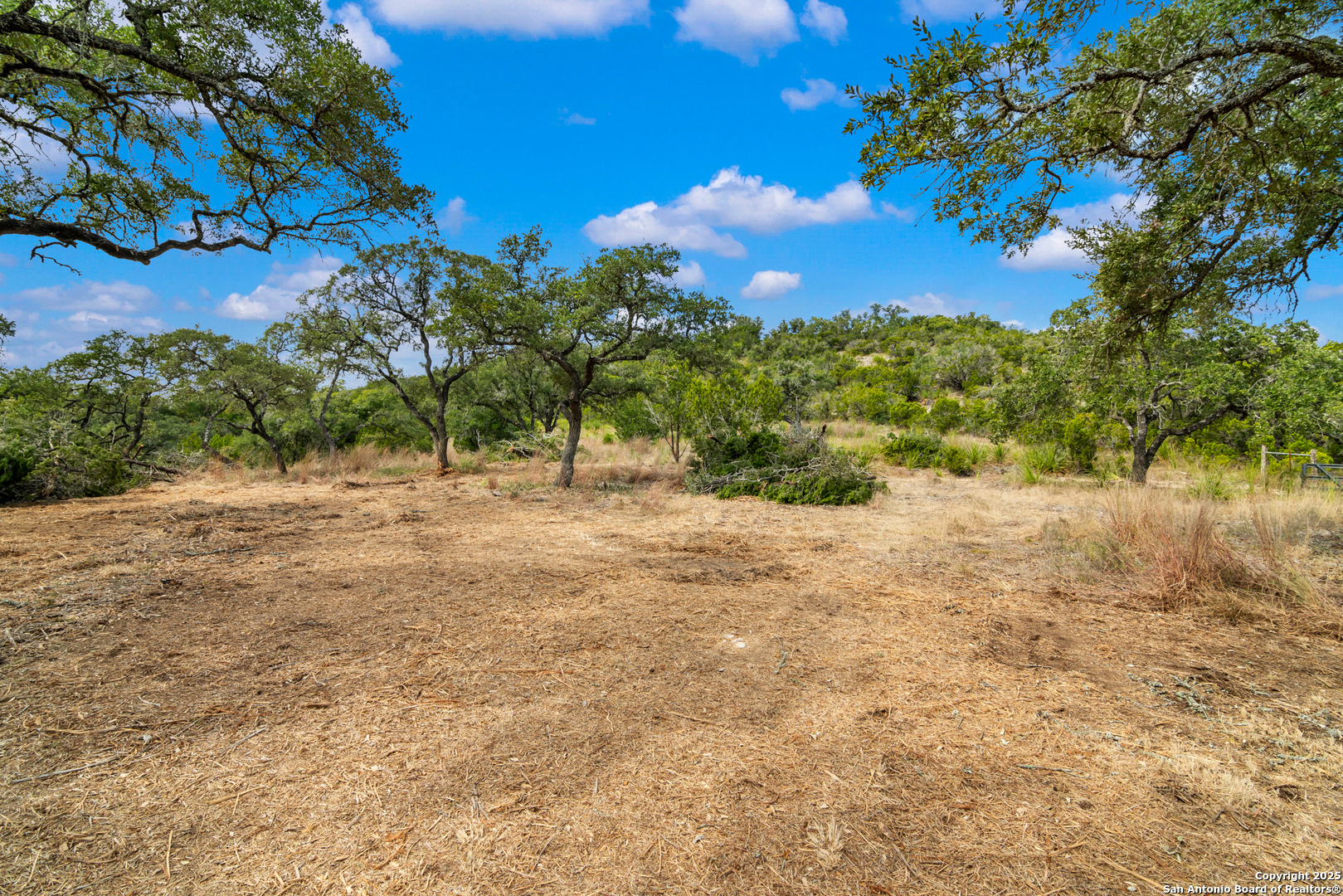 25722 Eden Point Boerne, TX 78006 - Photo 18 of 46 a view of a yard with a tree